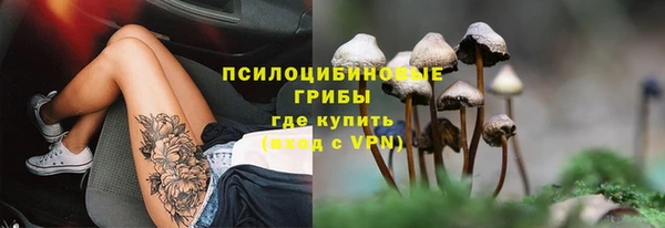 apvp Магас