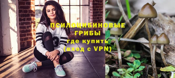 apvp Магас