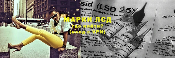 apvp Магас