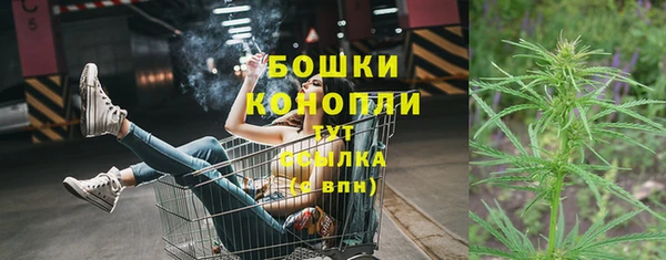 apvp Магас
